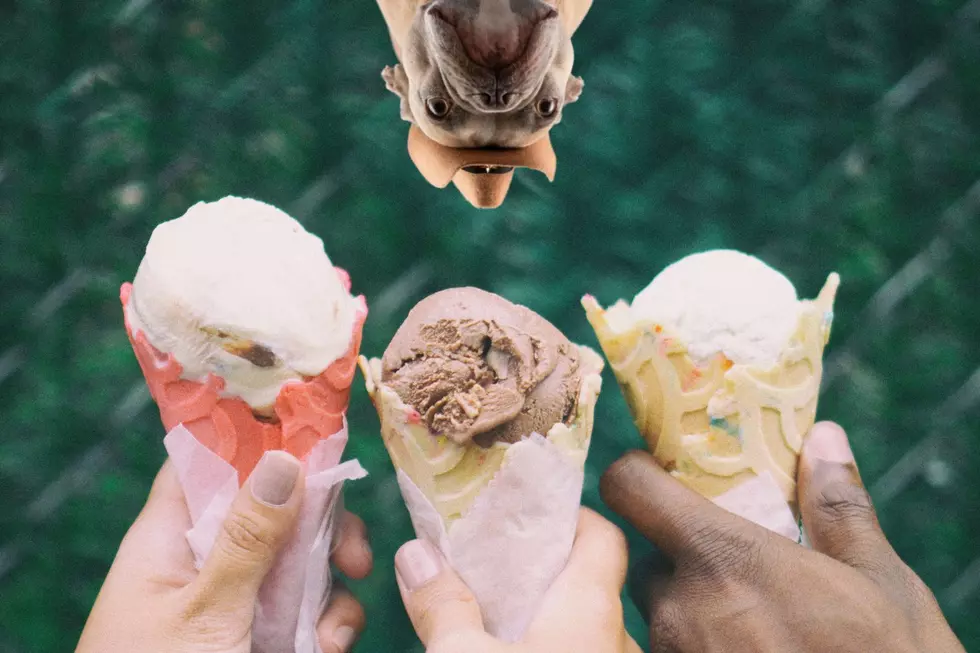 Ever Had One of These Six Now-Rare Ice Cream Flavors?