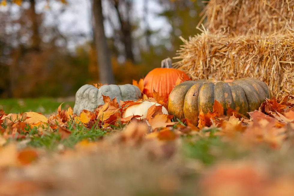 AROUND TOWN – Enjoy the fall weather with these events!