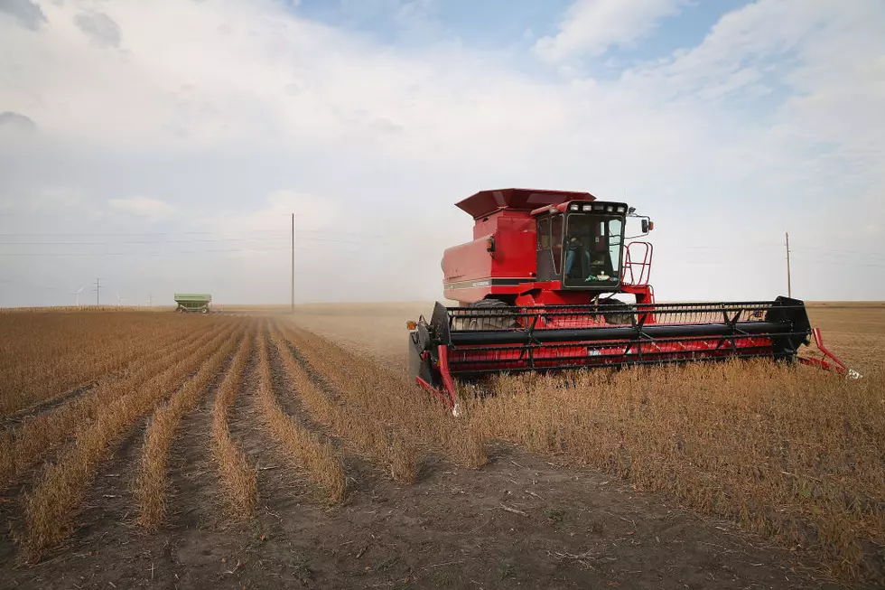 A Minnesota Farmers Words About Harvest